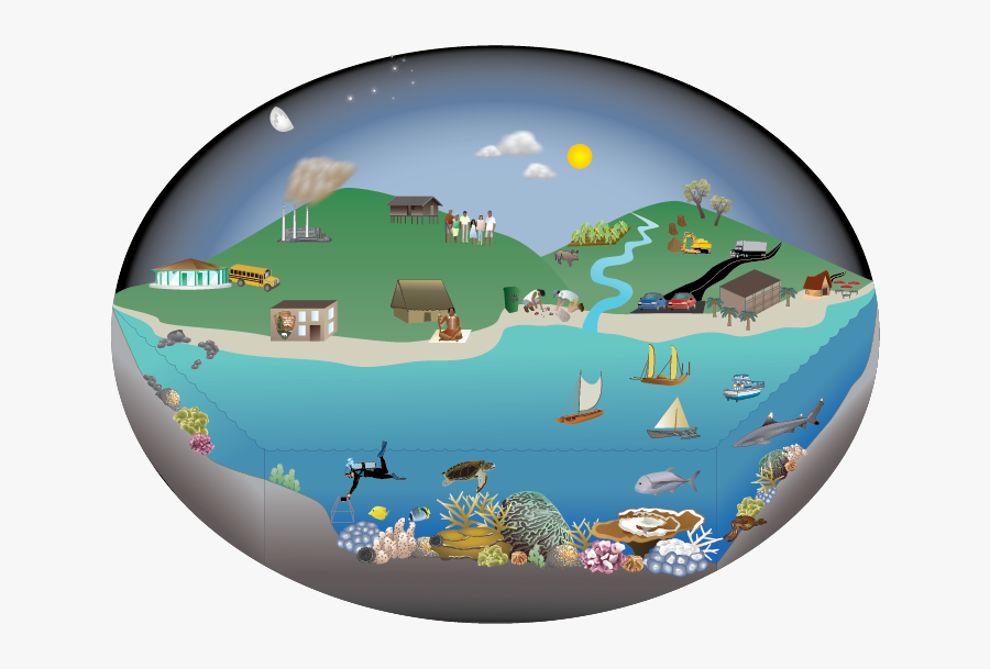 Island Clipart Tropical Climate - Coral Reef Food Web Diagram, Transparent Clipart