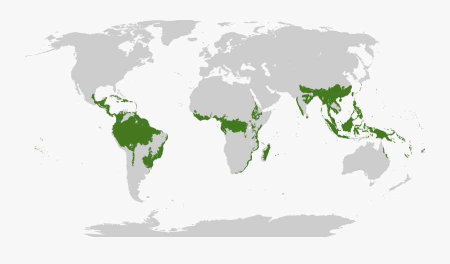 Tropical Climates Map - Tropical And Subtropical Dry Broadleaf Forests, Transparent Clipart