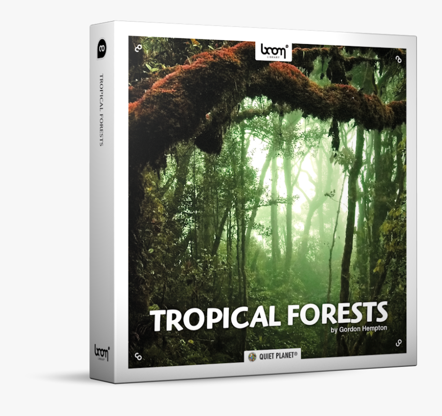 Tropical Forests Nature Ambience Sound Effects Library - Jungle 1080, Transparent Clipart