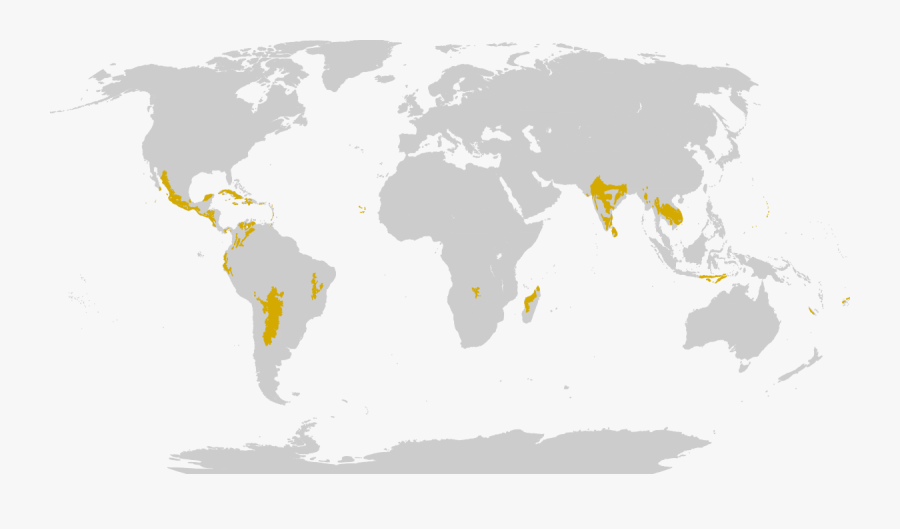 And Subtropical Broadleaf Forests - Savanna World Map, Transparent Clipart