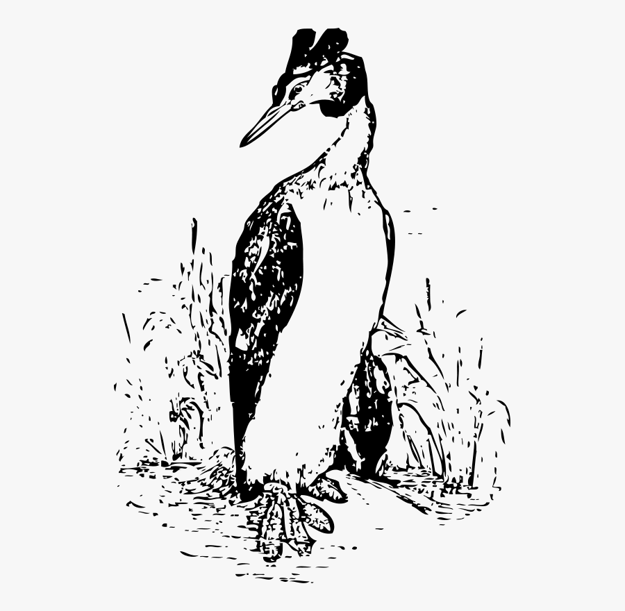 The Grebe - Duck, Transparent Clipart