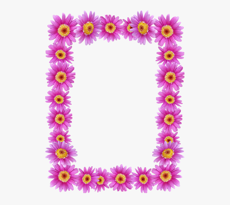 Frame, Border, Daisies, Floral, Decorative - Marcos De Fotos Flores, Transparent Clipart