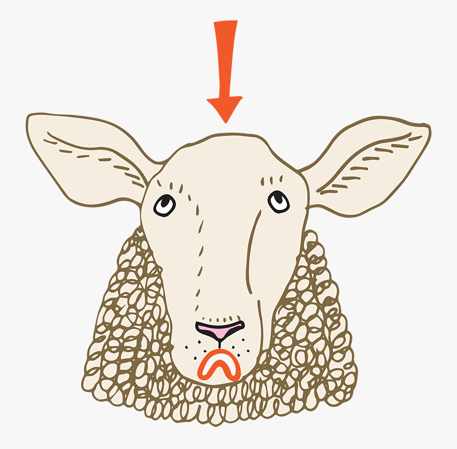 Cartoon, Transparent Clipart