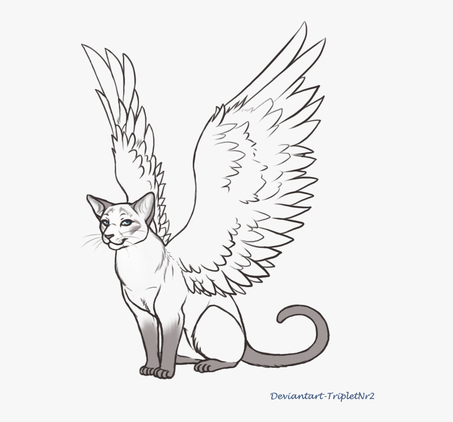 Wings Lineart Siamese Cat For Free Download - Angel Cat Wings Drawing, Transparent Clipart