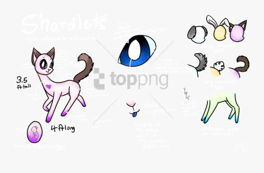 Cat, Transparent Clipart