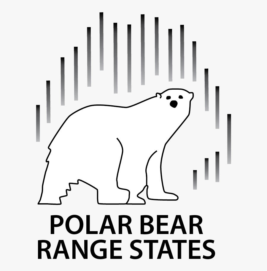 Marine Mammal, Transparent Clipart