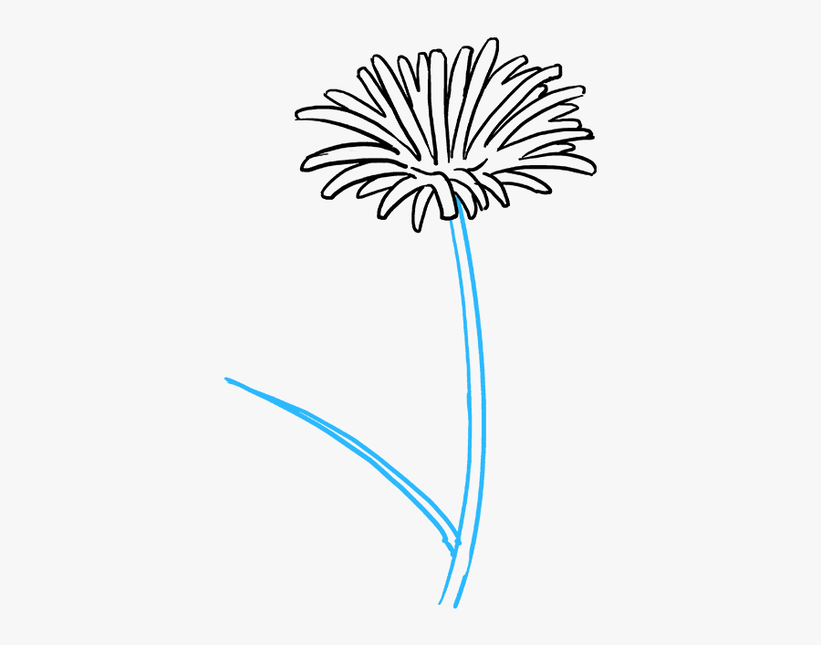How To Draw Dandelion - Drawing, Transparent Clipart