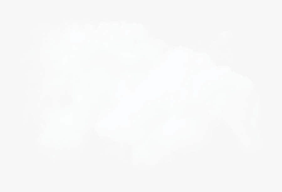 Stock Photography, Transparent Clipart