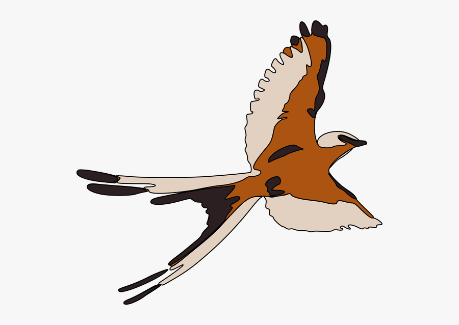 Flying-bird - Kestrel Clipart, Transparent Clipart