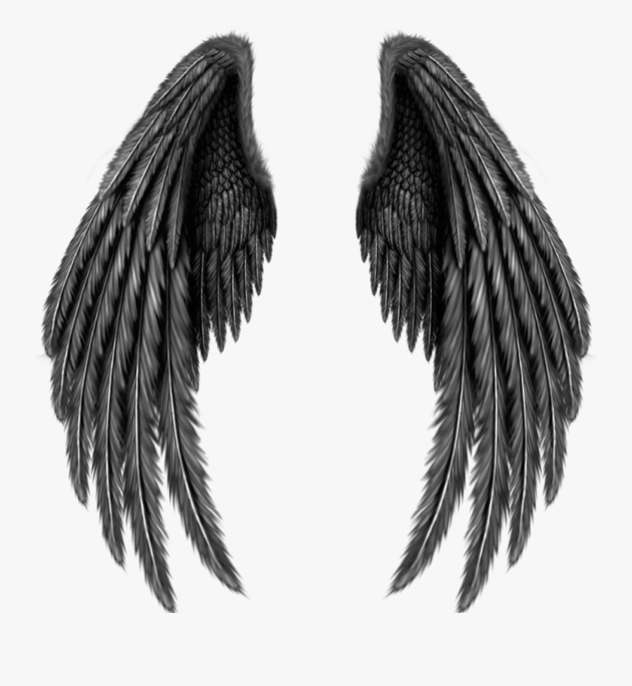 Asas Png Tumblr - Transparent Black Angel Wings, Transparent Clipart