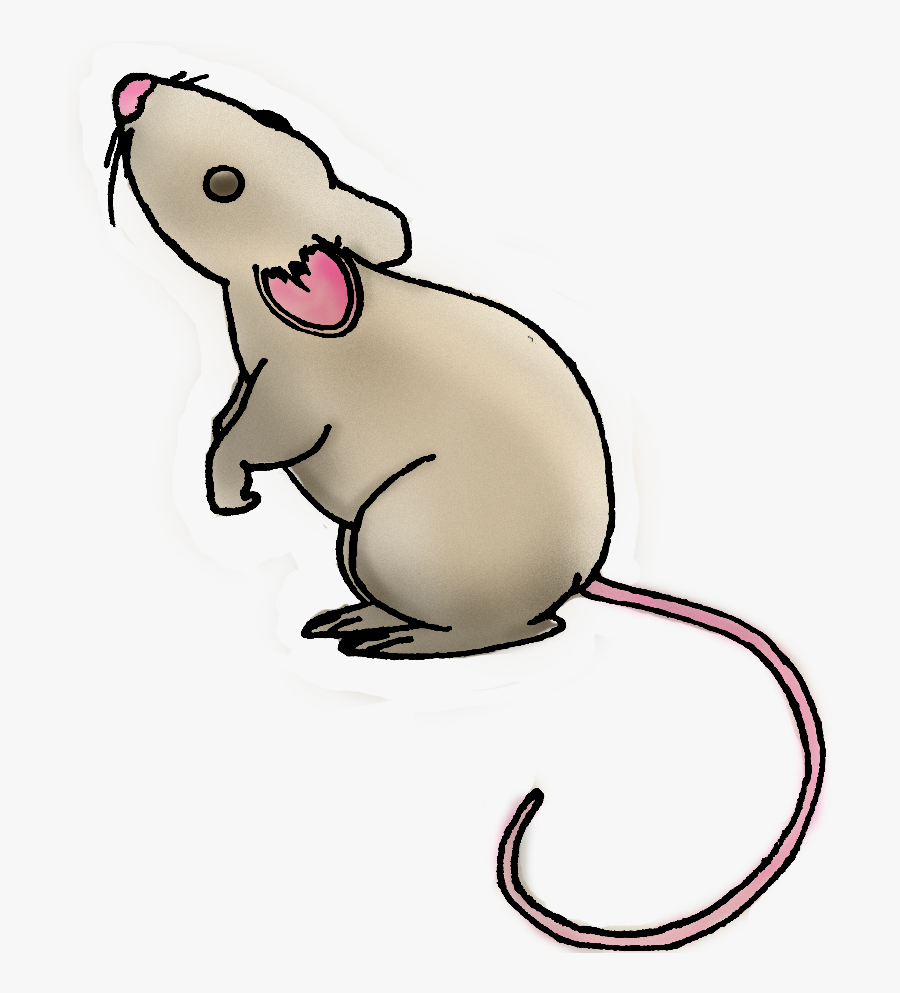Rat Clipart Daga - Daga Clipart, Transparent Clipart