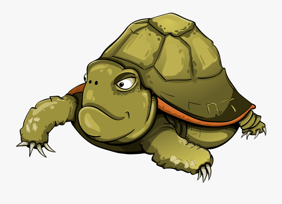 Tortoise, Turtle, Shell, Green, Animals - Tortoise Cartoon, Transparent Clipart