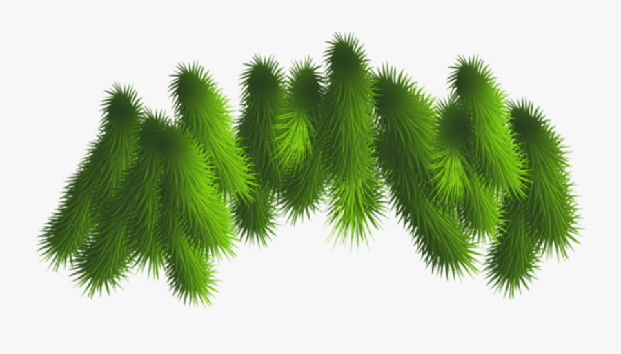 Pine Branch Owl Png - Christmas Tree Branches Png, Transparent Clipart