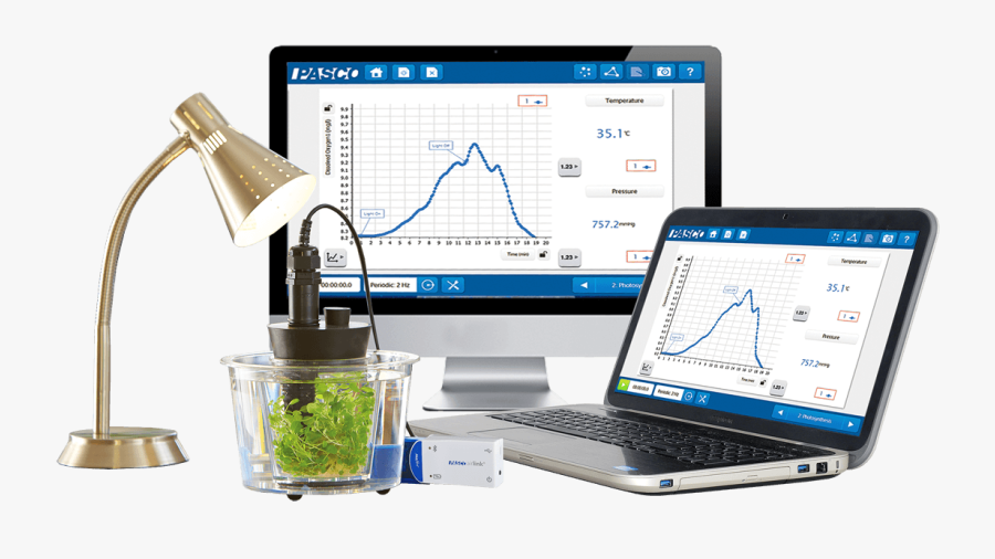 Program Cracks And Keygens - Pasco Biology, Transparent Clipart