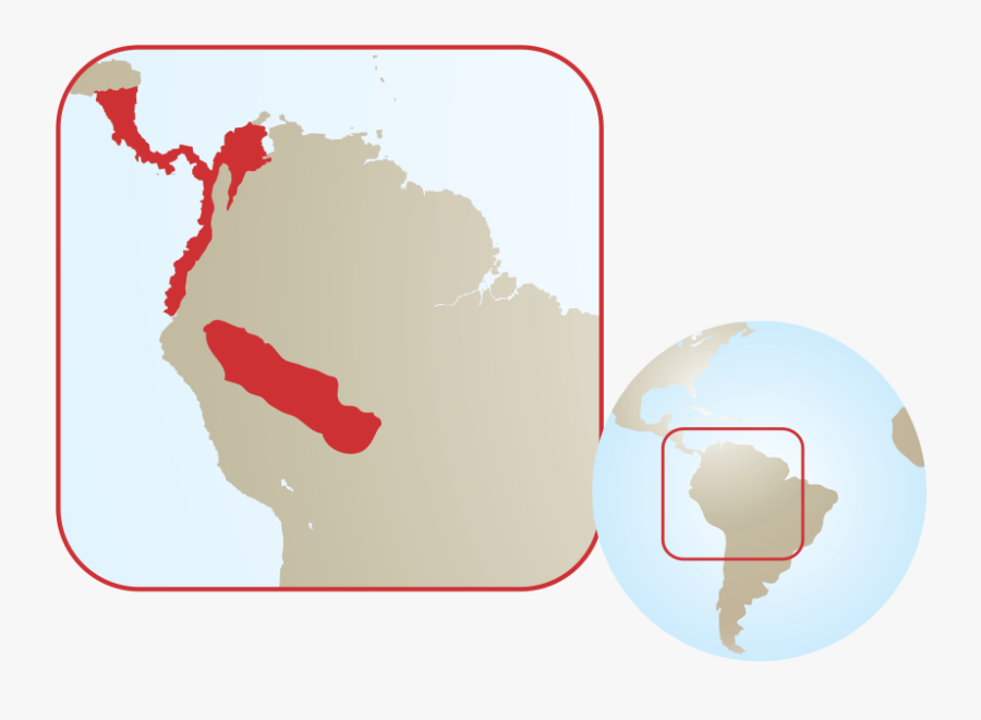 Clip Art Hoffmann S Zoo Atlanta - Map Of Where Sloths Live In South America, Transparent Clipart