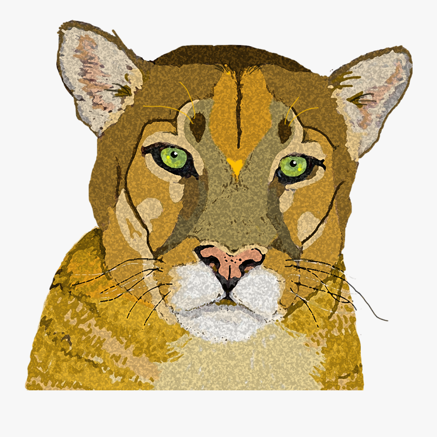 Clip Art Lizbrownlee Poet Mountain Copy - Cougar, Transparent Clipart