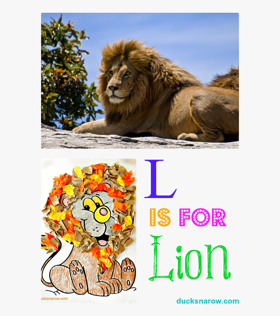 Clip Art L Is For Lion - Lion Sound, Transparent Clipart