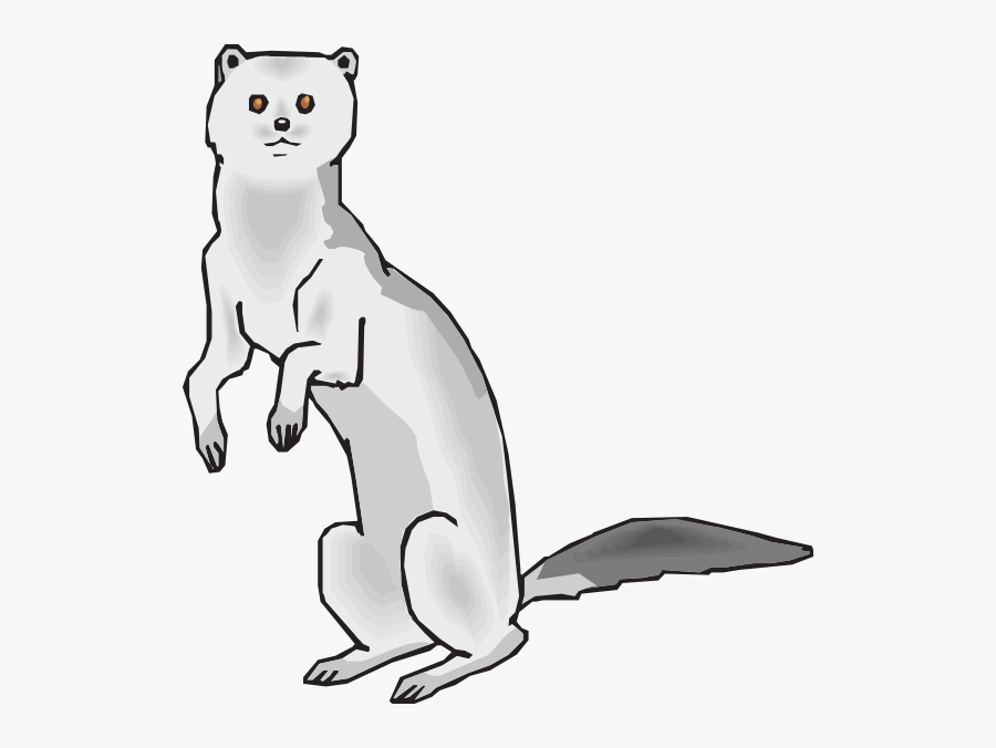 Cartoon Pictures Of A Mink, Transparent Clipart
