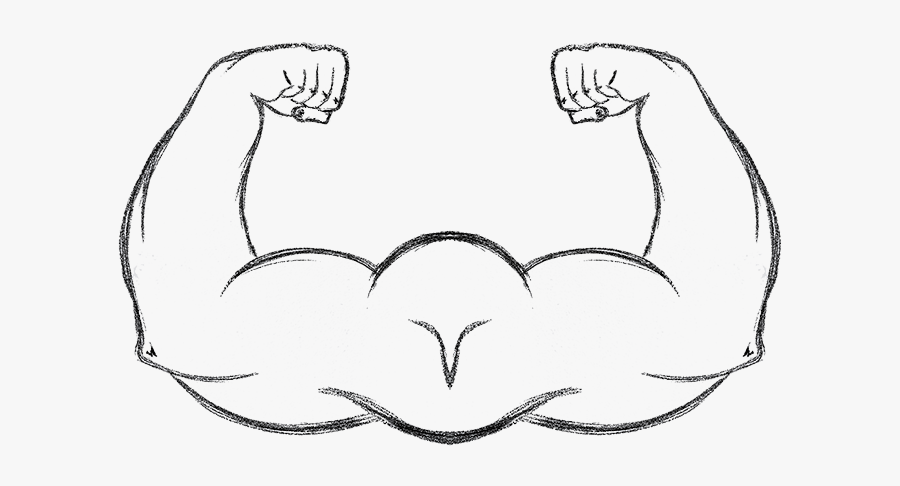 Line Art, Transparent Clipart