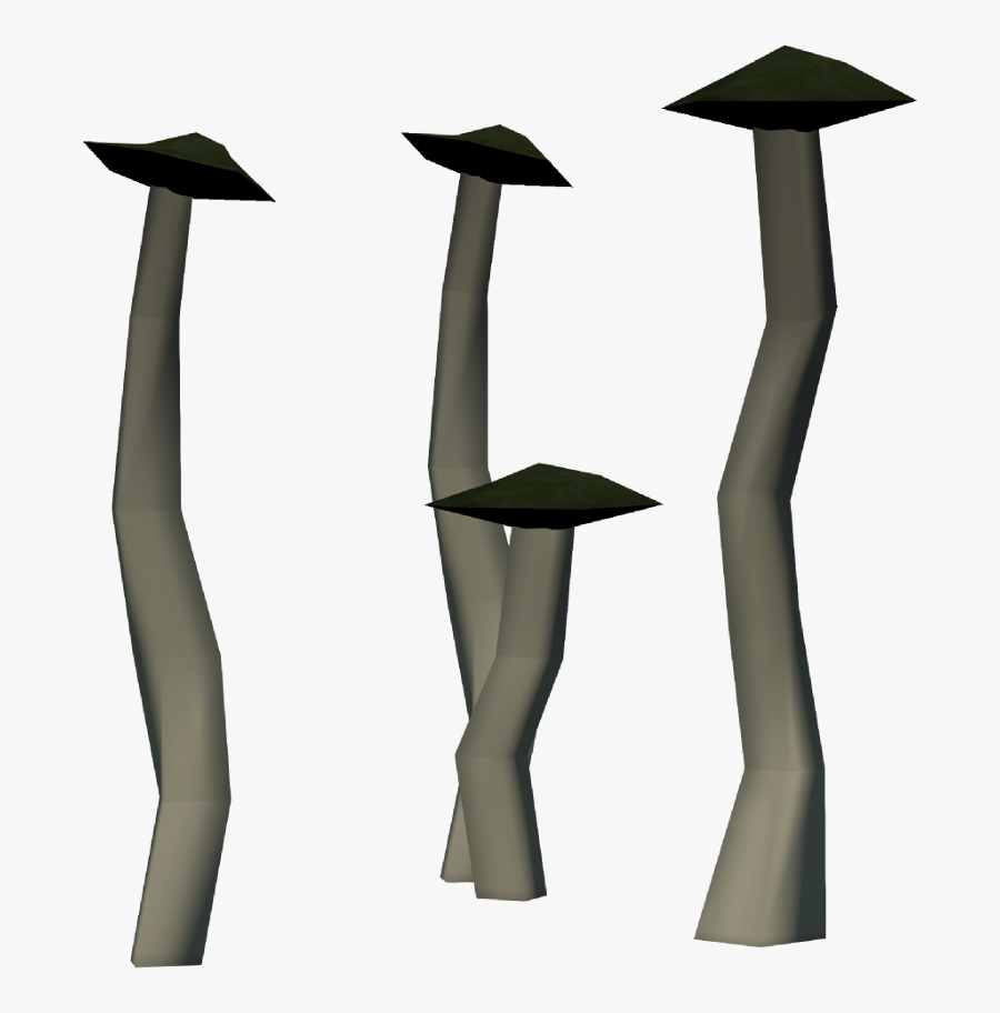 Sporcini Are A Type Of Mushroom Found While Foraging, Transparent Clipart