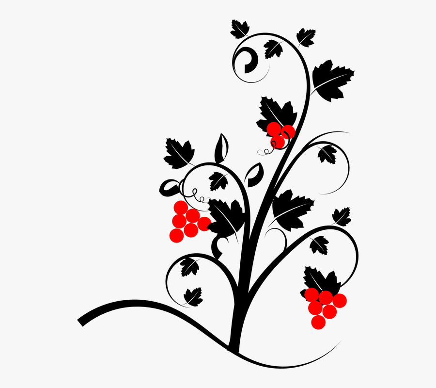 Vine, Wine, Plant, Red, Grapevine, Nature Grape Vines Wall Drawing