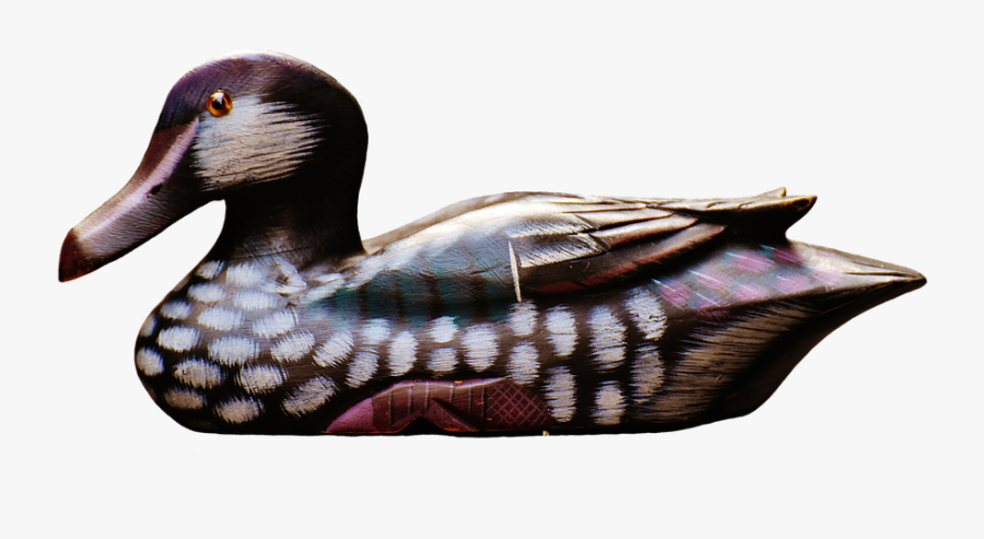 Wood Transparent Free On - Mallard, Transparent Clipart