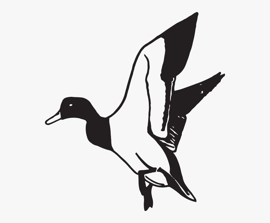 Duck Flying Clipart Black And White, Transparent Clipart