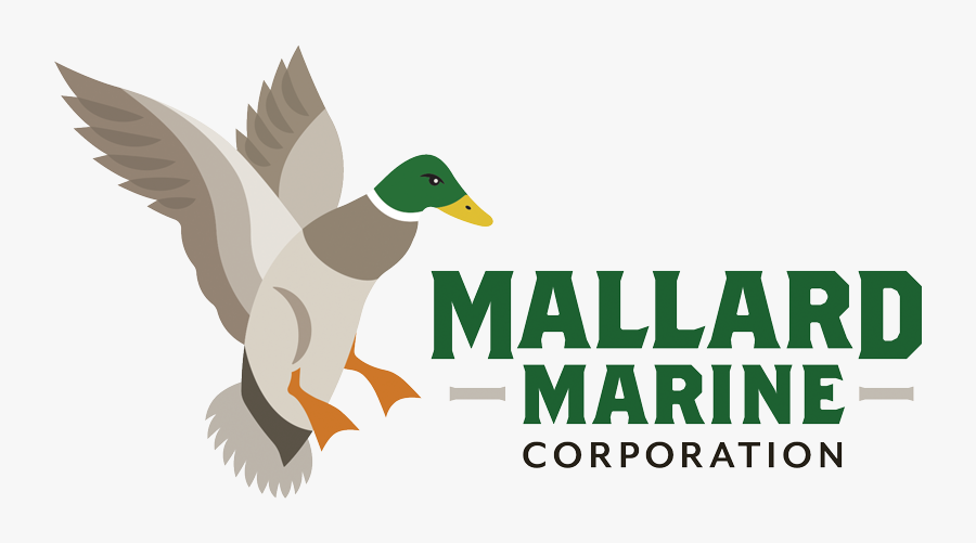 Mallard, Transparent Clipart