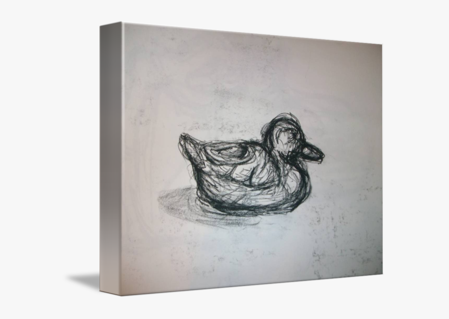 Duck Sketch By Caroline Schmitz - Sketch, Transparent Clipart