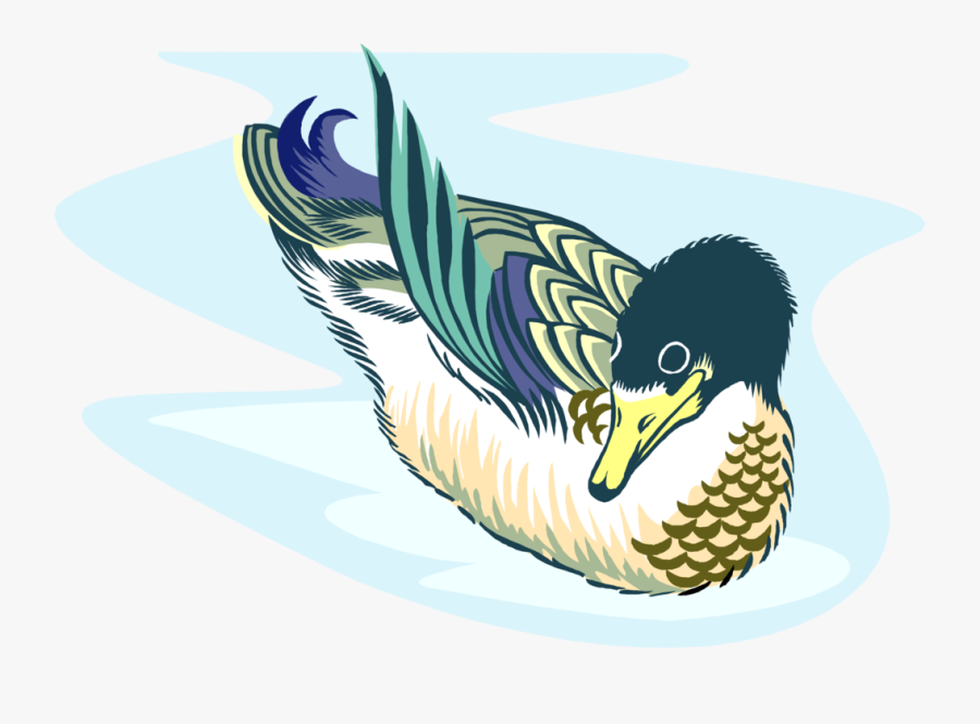 Vector Duck Mallard - Ten Little Ducks Poem, Transparent Clipart