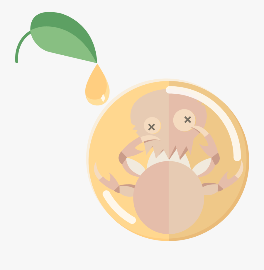 Lice-nil Oil Effective On Lice Eggs - Illustration, Transparent Clipart