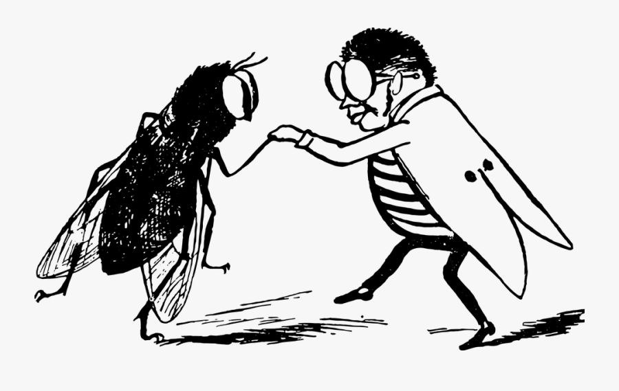 Fly And Louse Graphic Line Art - Limerick Edward Lear, Transparent Clipart
