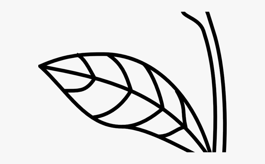 Apple Stem And Leaf Clipart, Transparent Clipart