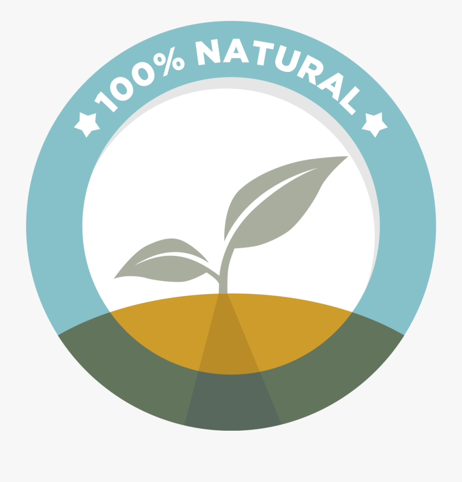 Orlando Lice Treatment & Lice Removal - Circle, Transparent Clipart