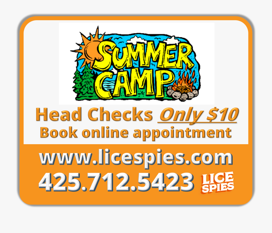 Summer Camp, Transparent Clipart