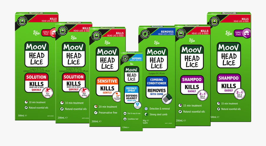 Parasitism Drawing Head Louse - Illustration, Transparent Clipart