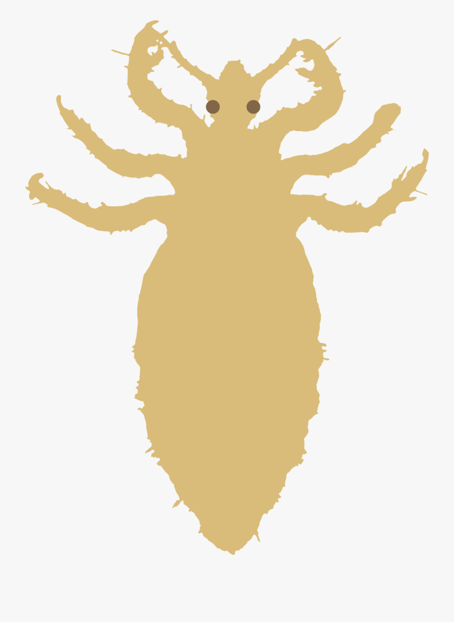 Pediculose Png, Transparent Clipart
