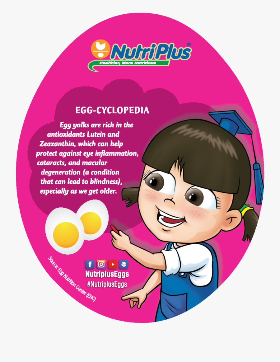 Coaster V4 Website Back2-05 - Portable Network Graphics, Transparent Clipart