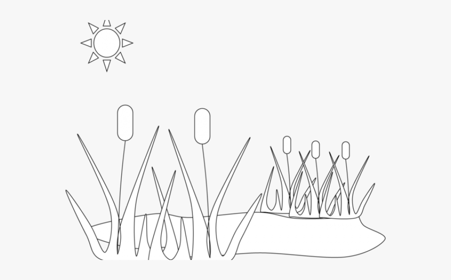 Pond Clipart, Transparent Clipart