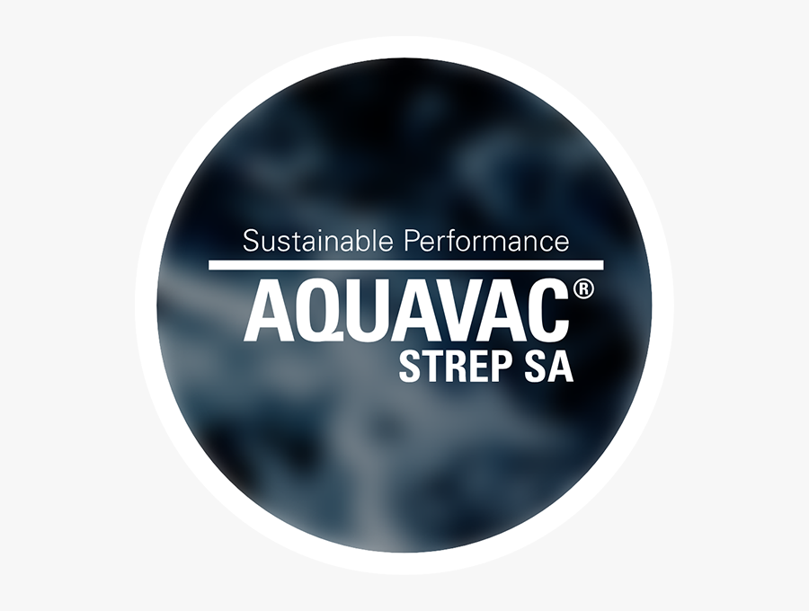 Circle, Transparent Clipart