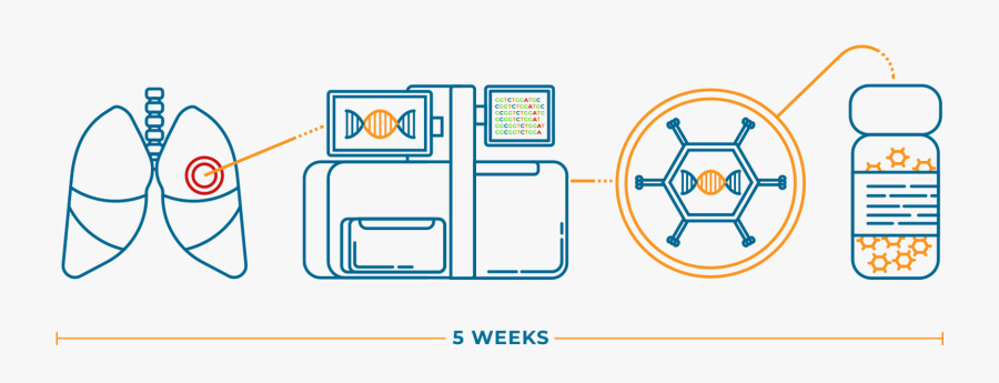 Diagram, Transparent Clipart