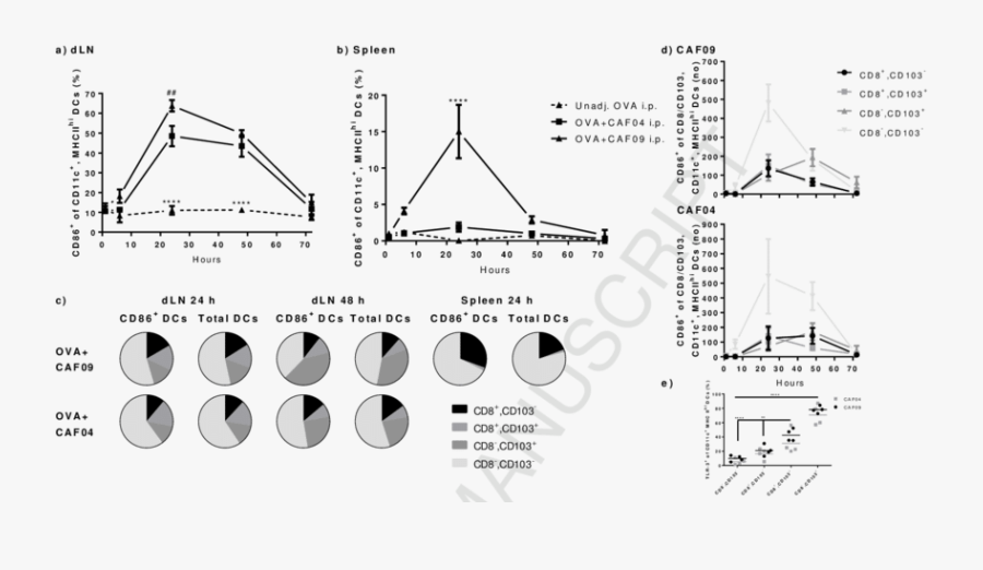 A) Activation Of Dcs In The Dlns Following I.p. Immunization - Diet Breadth Model, Transparent Clipart