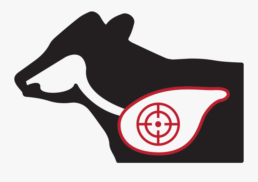 Zactran Travels With Immune Cells To The Site Of The, Transparent Clipart