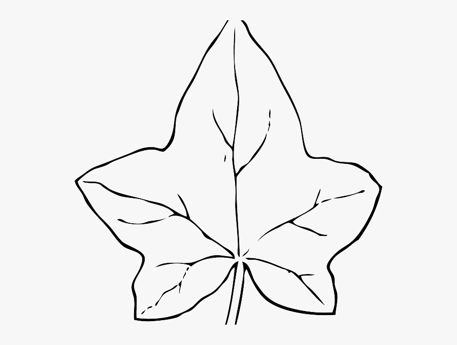 Leaf Outline Drawing - Autumn Leaves Clipart Black And White, Transparent Clipart