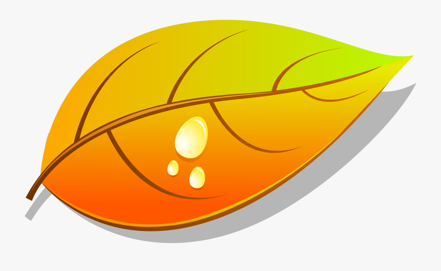 Autumn, Transparent Clipart