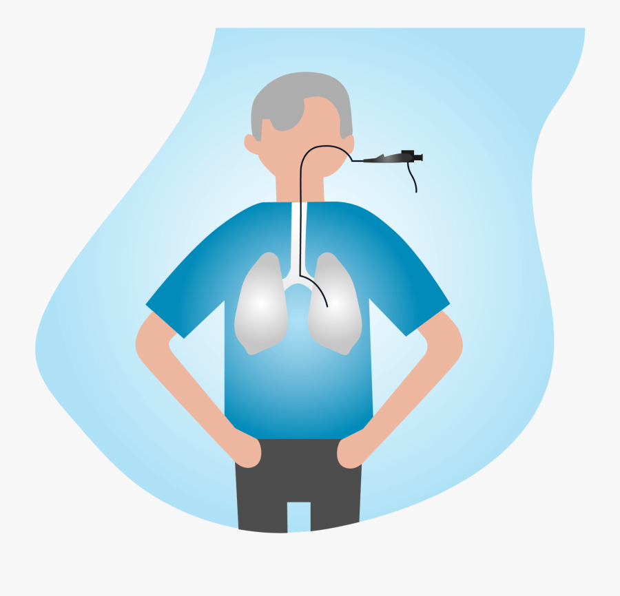 Illustration, Transparent Clipart