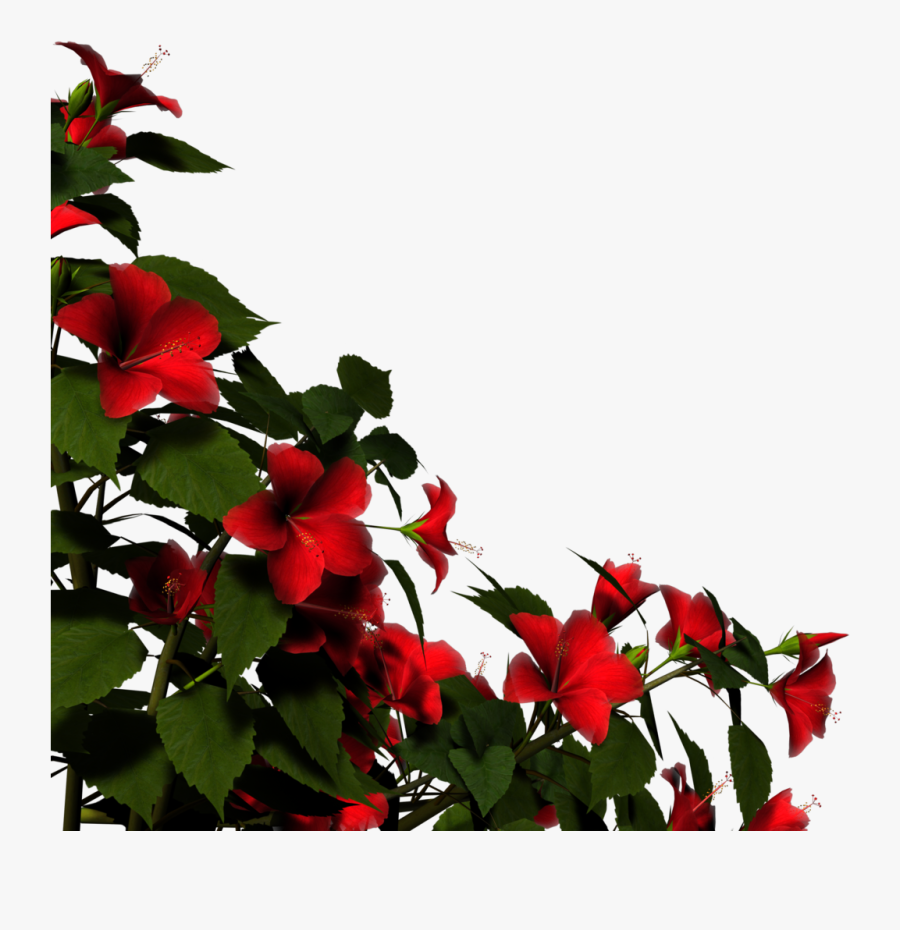 Hibiscus Border Png - Corner Border Red Rose Png, Transparent Clipart