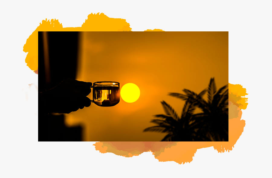 Bliss Tea Danta Herbs - Tree, Transparent Clipart