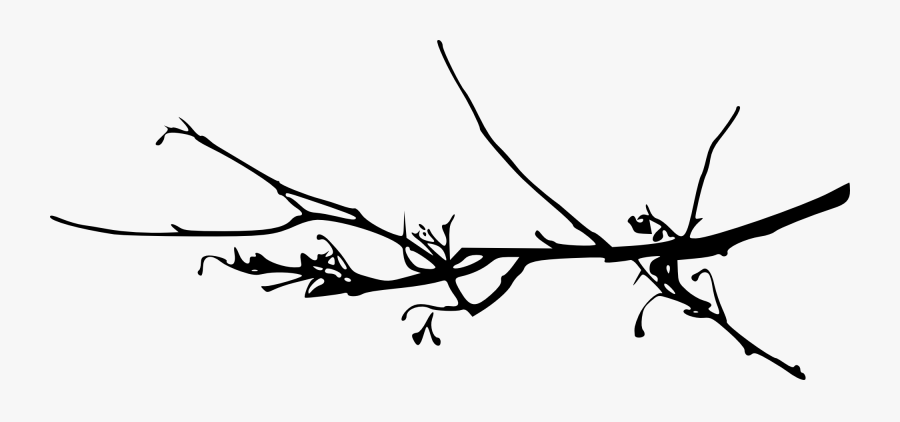 Twigs Png, Transparent Clipart
