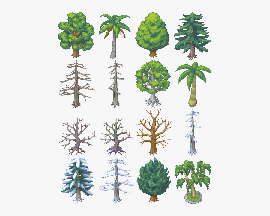 Transparent Simple Tree Png - Spruce, Transparent Clipart